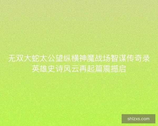 无双大蛇太公望纵横神魔战场智谋传奇录英雄史诗风云再起篇震撼启