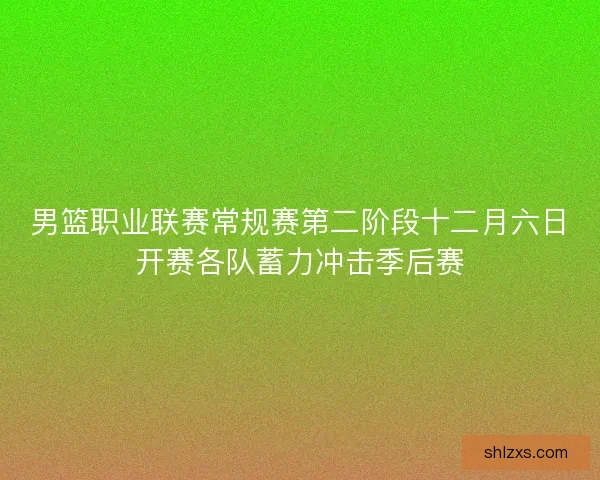 男篮职业联赛常规赛第二阶段十二月六日开赛各队蓄力冲击季后赛