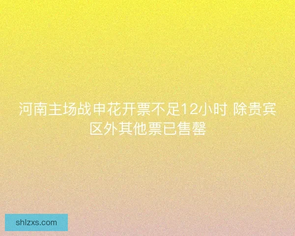 河南主场战申花开票不足12小时 除贵宾区外其他票已售罄