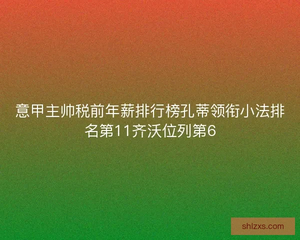 意甲主帅税前年薪排行榜孔蒂领衔小法排名第11齐沃位列第6